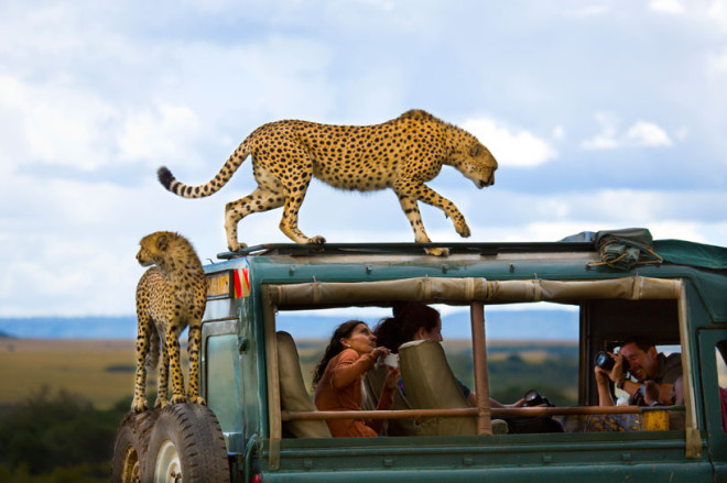 national-geographic-winners-3
